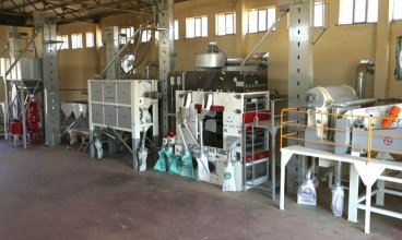 Seed Processing Plant